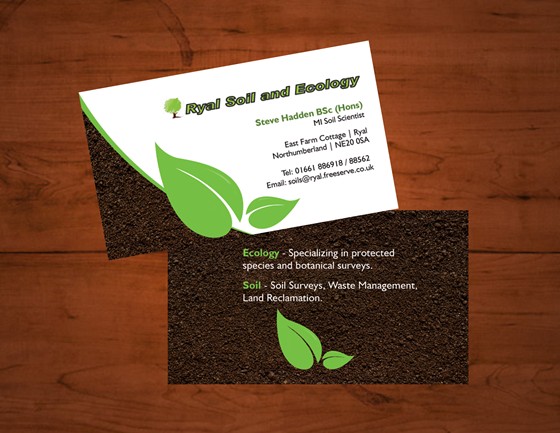 Business Cards: Design by Africangirl