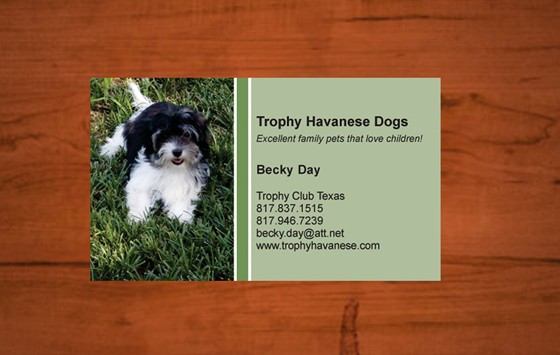 Business Cards: Design by Africangirl